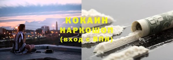 хмурый Алексин