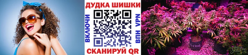 Конопля индика Купить где Козловка